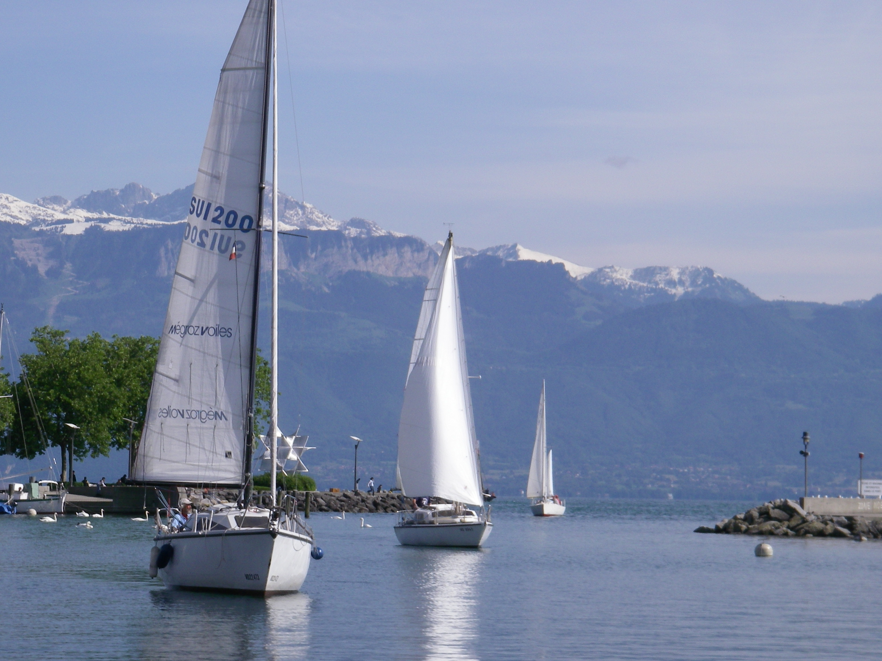 Rencontre voile